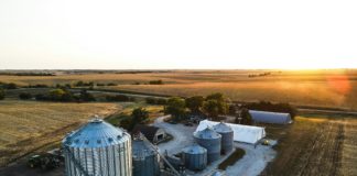 Nebraska autoriza la primera plantación legal de cannabis medicinal