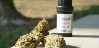 Consulta clínica en un entorno de cuidados para ilustrar un ensayo sobre THC y CBD en demencia avanzada