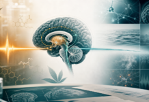 Una revisión cuestiona el beneficio sostenido de los cannabinoides en las adicciones Ilustración científica sobre cannabinoides, circuitos cerebrales y resultados a corto y largo plazo