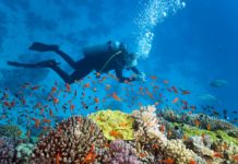 Explorando la narcosis por nitrógeno en el buceo Narcosis por nitrógeno imagen 2