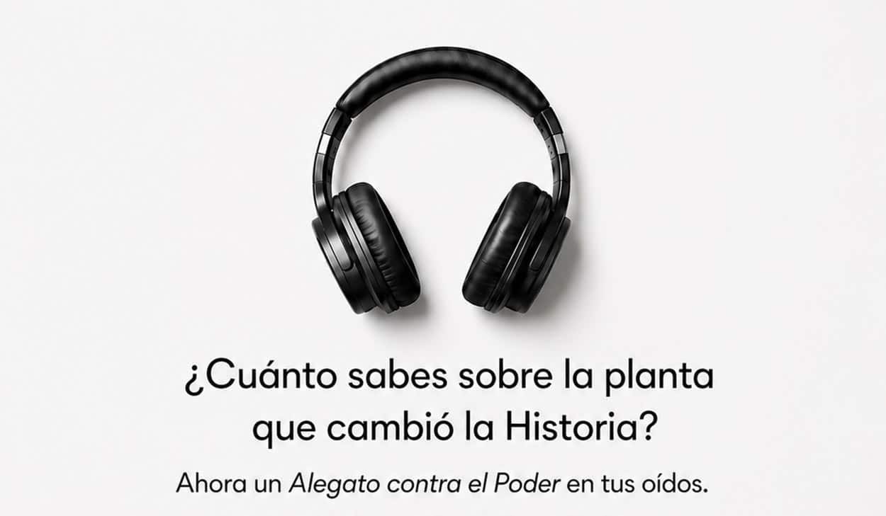 Marihuana, la flor del cáñamo: reseña del audiolibro de Daniel Vidart