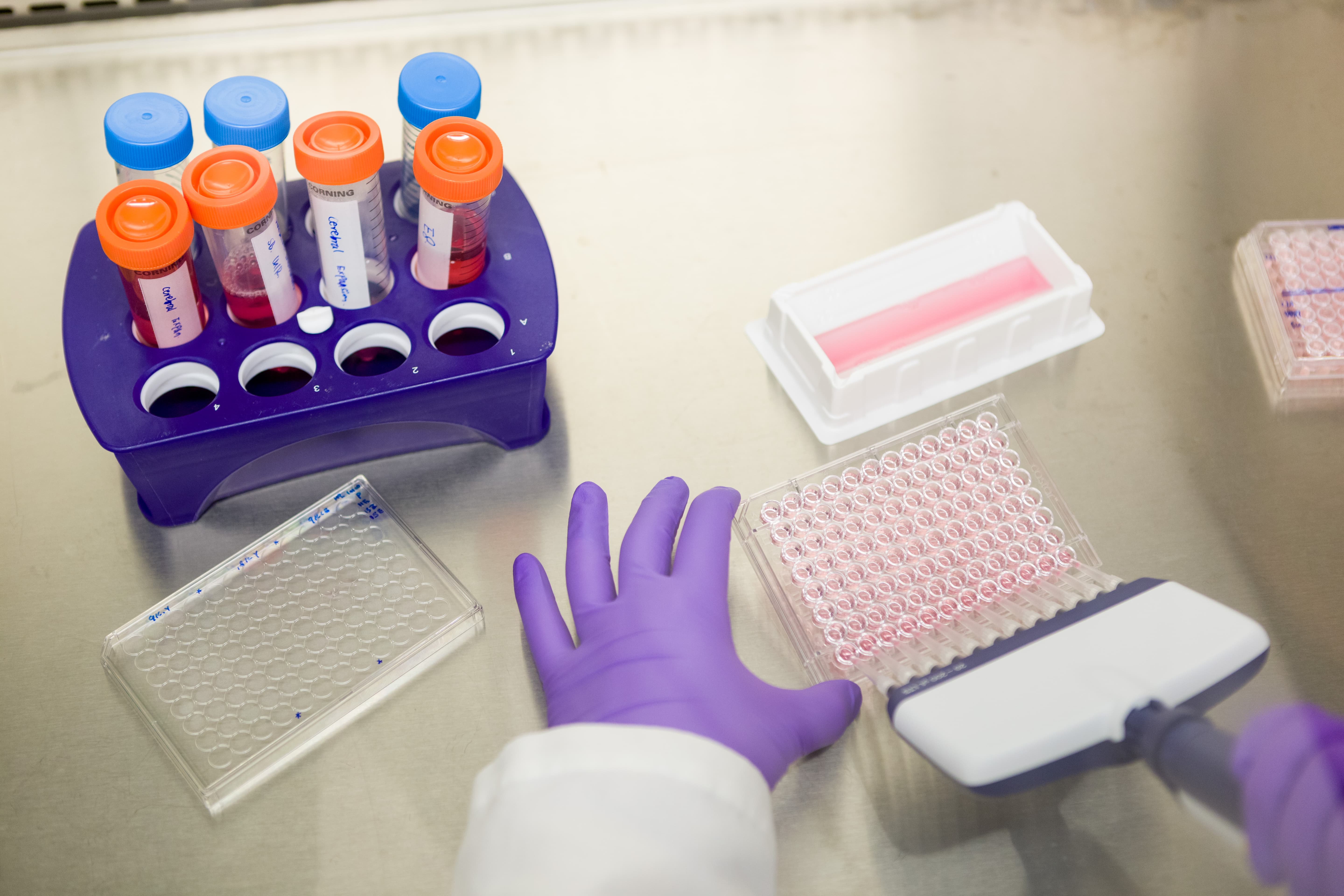 Mano enguantada manejando una pipeta multicanal junto a viales en un laboratorio de investigaci&oacute;n cl&iacute;nica.