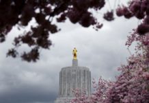 OHA duplica tasas clave y redibuja las reglas del programa de psilocibina de Oregon Oregon State Capitol with Blossoms