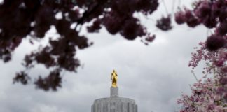 Oregon State Capitol with Blossoms