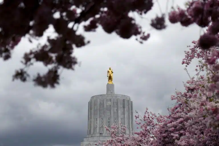 OHA duplica tasas clave y redibuja las reglas del programa de psilocibina de Oregon