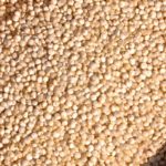Granos de quinoa cruda llenan un cuenco de madera visto desde arriba.