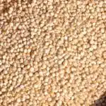 Granos de quinoa cruda llenan un cuenco de madera visto desde arriba.