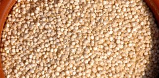 Granos de quinoa cruda llenan un cuenco de madera visto desde arriba.