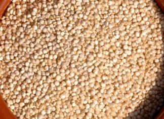 Cannabis crudo: cultivo y formas de consumo Granos de quinoa cruda llenan un cuenco de madera visto desde arriba.