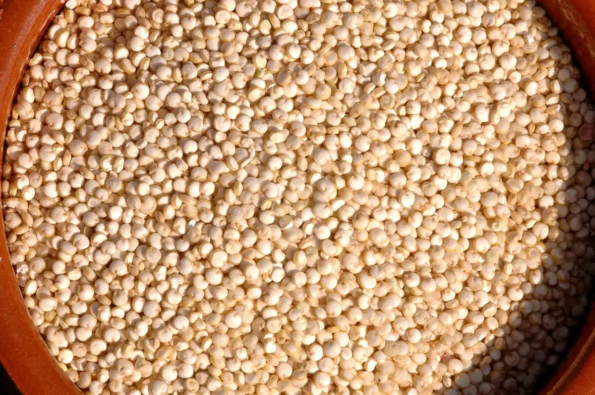 Granos de quinoa cruda llenan un cuenco de madera visto desde arriba.