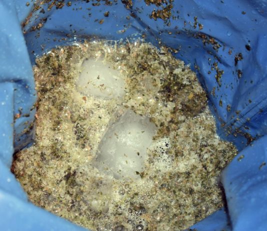 Materia vegetal, hielo y espuma dentro de una bolsa azul durante el batido con agua