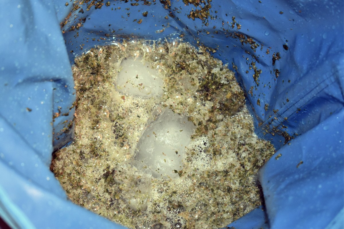Materia vegetal, hielo y espuma dentro de una bolsa azul durante el batido con agua