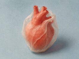 Cannabidiol y pericarditis recurrente: qué sabemos del ensayo de fase II Corazón de papel rojo rodeado por una envoltura translúcida sobre fondo azul claro