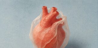 Coraz&oacute;n de papel rojo rodeado por una envoltura transl&uacute;cida sobre fondo azul claro