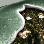 Crecimiento gris verdoso con bordes blancos sobre una superficie vegetal oscura