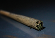 Missouri retira pre-rolls de cannabis por Aspergillus Pre-roll de cannabis fotografiado de cerca para ilustrar la retirada de productos en Missouri
