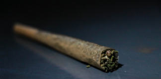Missouri retira pre-rolls de cannabis por Aspergillus Pre-roll de cannabis fotografiado de cerca para ilustrar la retirada de productos en Missouri