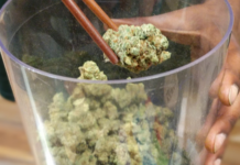 Michigan publica sanciones a licencias de cannabis Interior de un dispensario de cannabis usado para ilustrar la supervisión de licencias reguladas en Michigan