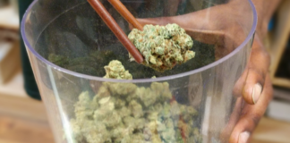 Michigan publica sanciones a licencias de cannabis Interior de un dispensario de cannabis usado para ilustrar la supervisión de licencias reguladas en Michigan
