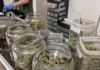 California refuerza los controles del cannabis regulado Flor de cannabis legal expuesta en un dispensario, relacionada con controles del mercado regulado en California