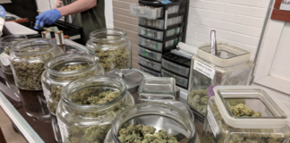 California refuerza los controles del cannabis regulado Flor de cannabis legal expuesta en un dispensario, relacionada con controles del mercado regulado en California