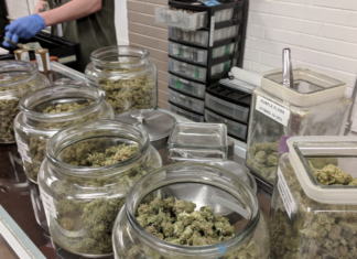 California refuerza los controles del cannabis regulado Flor de cannabis legal expuesta en un dispensario, relacionada con controles del mercado regulado en California
