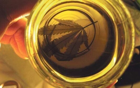 CBD aislado y efecto séquito: qué dice la investigación Mano sostiene un frasco con aceite dorado que proyecta la silueta de una hoja de cannabis