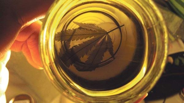 Mano sostiene un frasco con aceite dorado que proyecta la silueta de una hoja de cannabis