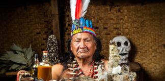 Psychéplants y el estudio de plantas psicoactivas Hombre con tocado ceremonial sostiene una bandeja con velas, frascos, plantas, huesos y un cráneo.