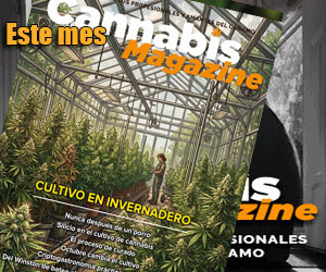 Revista Cannabis Magazine de este mes