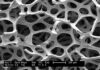 El tampodka, una leyenda amplificada por la prensa (I) Micrografía en blanco y negro de una estructura porosa interconectada, con escala de 200 micrómetros