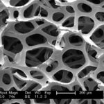 Micrograf&iacute;a en blanco y negro de una estructura porosa interconectada, con escala de 200 micr&oacute;metros