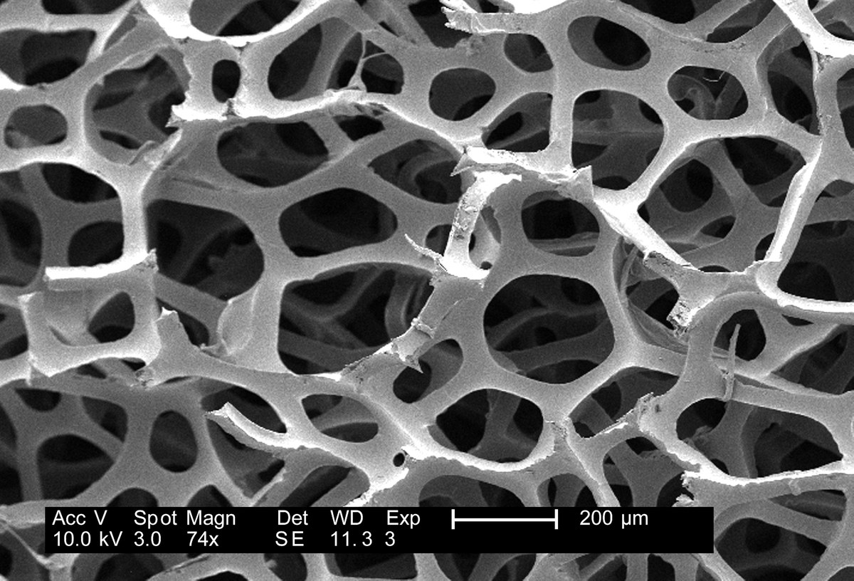Micrograf&iacute;a en blanco y negro de una estructura porosa interconectada, con escala de 200 micr&oacute;metros