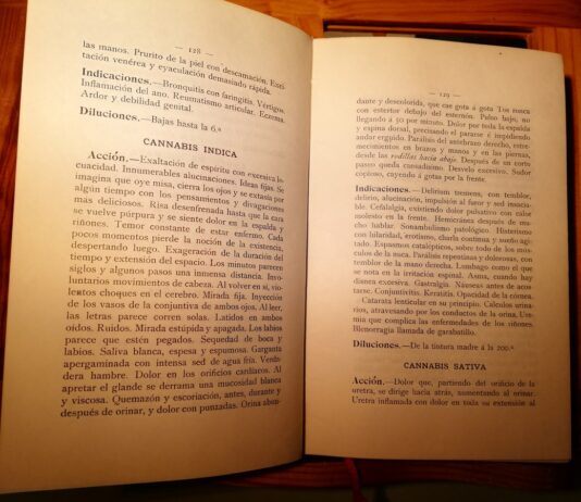 Cannabis, homeopatía y regulación europea Libro abierto con descripciones en español de Cannabis indica y Cannabis sativa sobre una mesa de madera