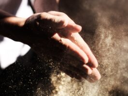Cáñamo alimentario: cómo incorporarlo a la dieta Manos frotándose mientras desprenden una nube de polvo fino iluminada por el sol