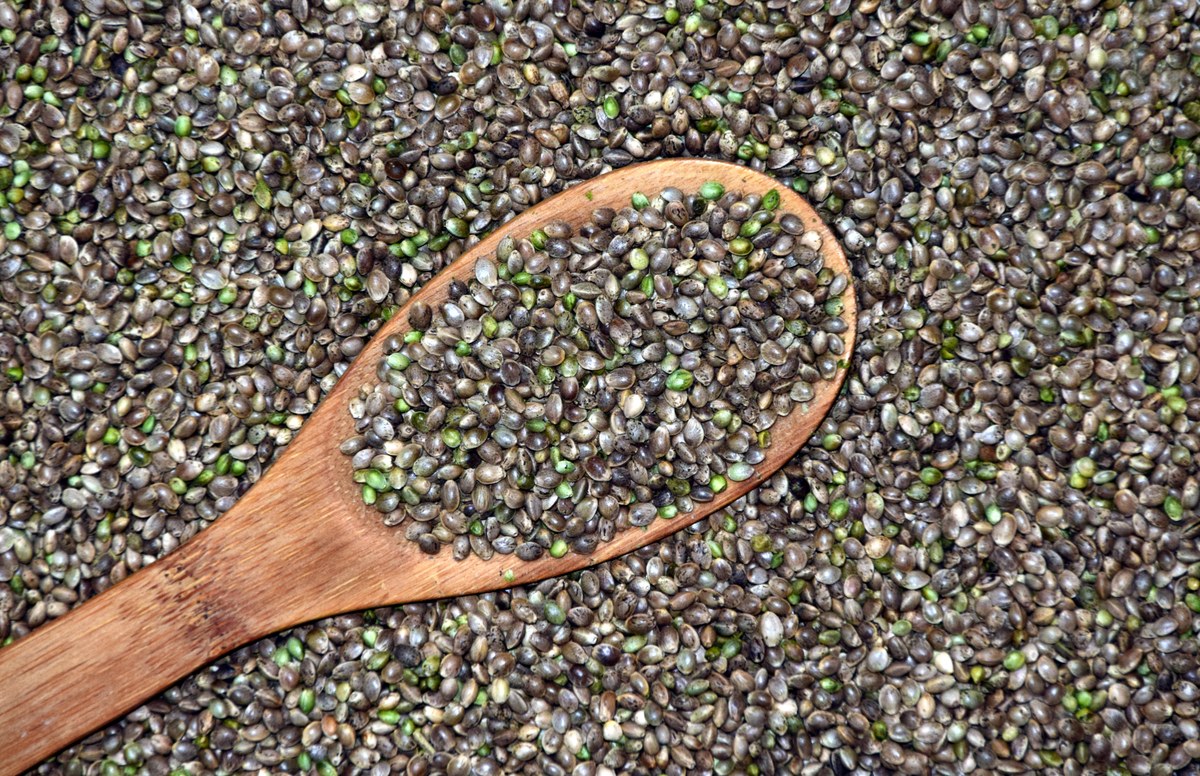Semillas de cáñamo en una cuchara de madera sobre un lecho de semillas