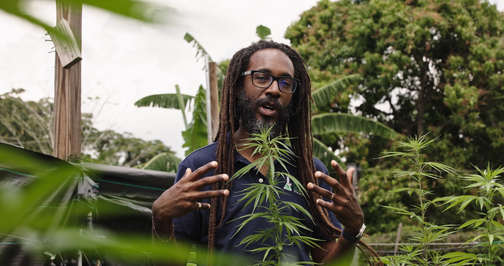 Dr. Machel Emanuel, Botanist at Univ. of West Indies (2)