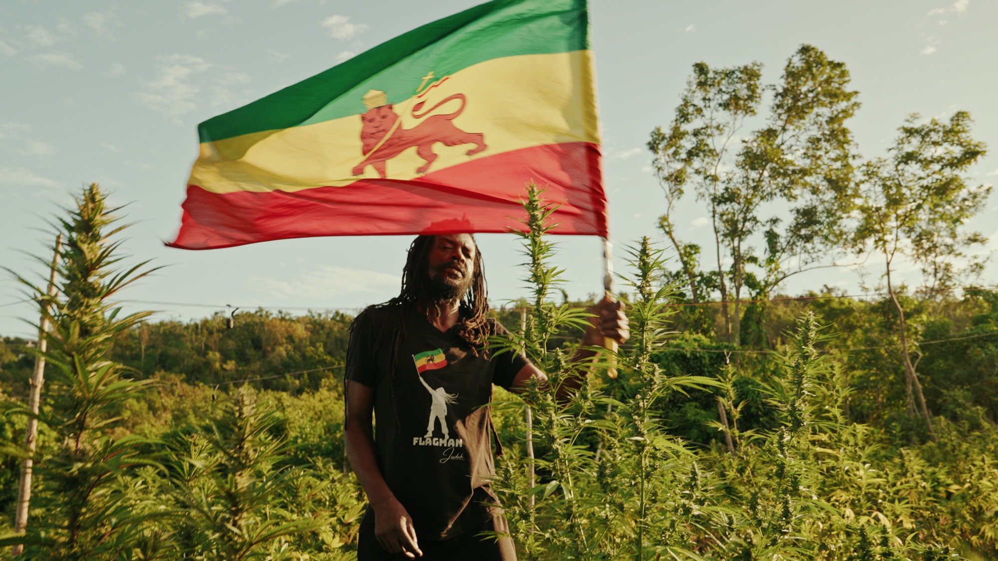 _Flagman Judah at Woodstock Farm