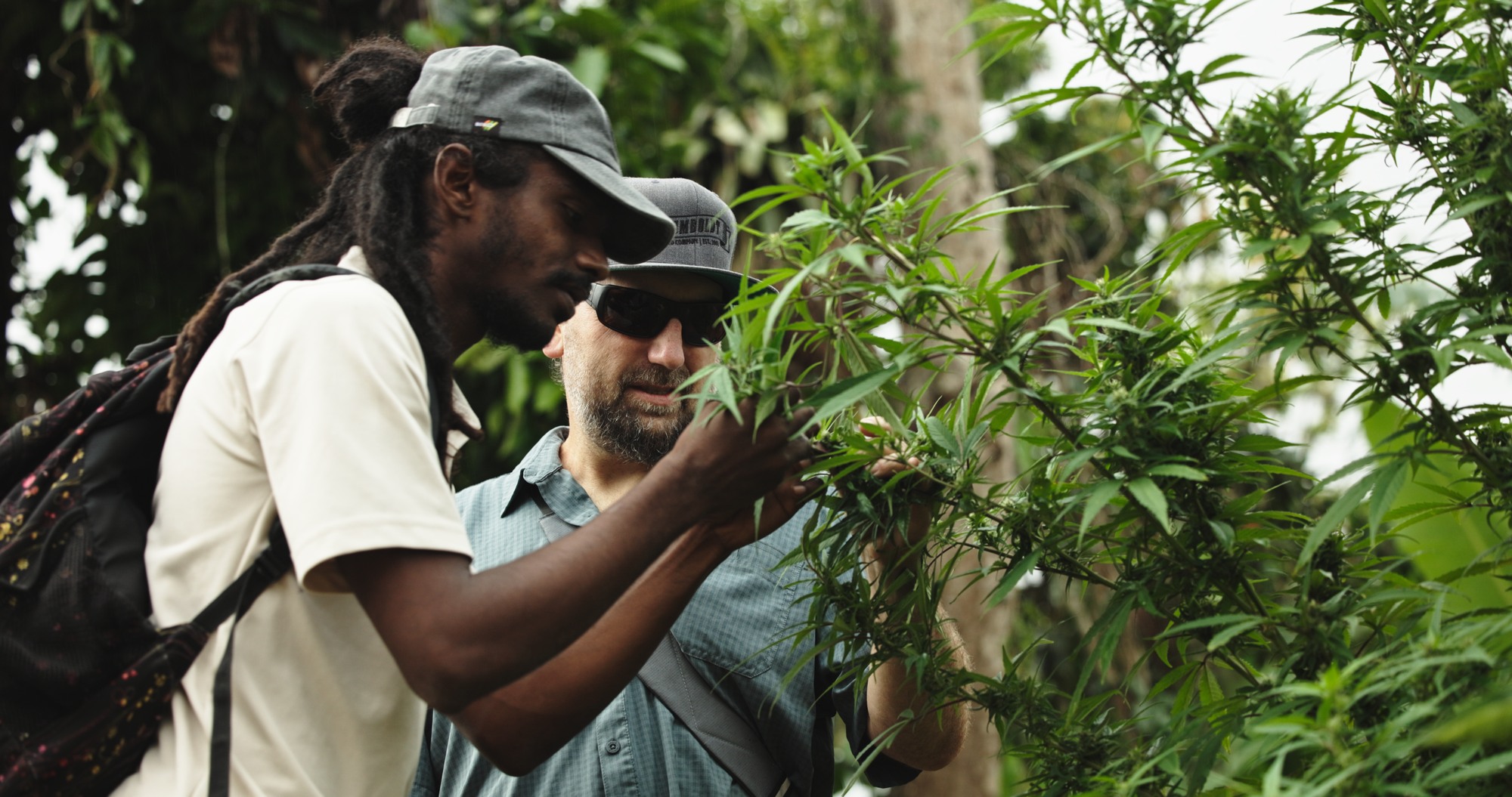 _Jed Goodridge, graduate student at Univ. of the West Indies at Nile Mile (1)