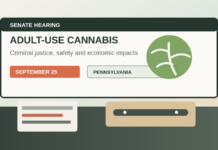 Pensilvania cita al Senado para debatir el cannabis adulto Ilustracion editorial de una audiencia legislativa sobre cannabis adulto en Pensilvania