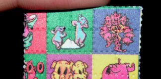 Cómo nació el mito de la droga caníbal Pequeño papel secante con cuadros de colores y personajes de dibujos animados, sostenido entre dos dedos
