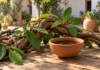 Ayahuasca en Sagunto: garantías, libertad y una regulación pendiente Ilustración generada con IA de una liana, hojas verdes y un cuenco de barro sobre una mesa.