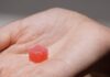 Francia retira gominolas con THC de Afranchi Lab y Le Grossiste du CBD Una pequeña gominola roja azucarada sobre la palma de una mano