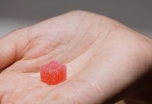 Francia retira gominolas con THC de Afranchi Lab y Le Grossiste du CBD Una pequeña gominola roja azucarada sobre la palma de una mano