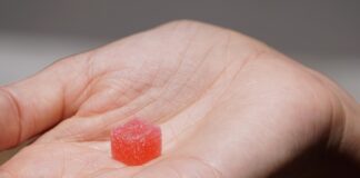 Francia retira gominolas con THC de Afranchi Lab y Le Grossiste du CBD Una pequeña gominola roja azucarada sobre la palma de una mano