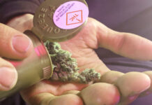 Massachusetts limita las extensiones de licencias de cannabis Producto legal de cannabis entregado tras la visita a un dispensario