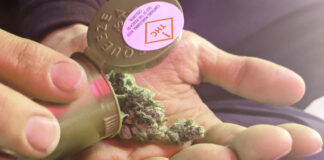 Massachusetts limita las extensiones de licencias de cannabis Producto legal de cannabis entregado tras la visita a un dispensario