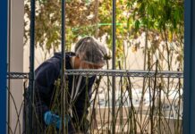 Mendoza abre inscripciones para formar técnicos en cannabis y cáñamo en Argentina Trabajador con protección capilar atiende plantas de cannabis en una sala de cultivo
