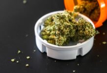 Pensilvania acerca el cannabis medicinal a hospitales Flores de cannabis medicinal en un envase de prescripcion sobre fondo oscuro