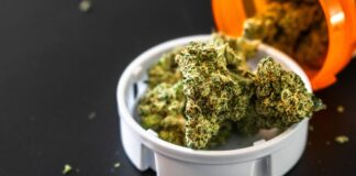 Pensilvania acerca el cannabis medicinal a hospitales Flores de cannabis medicinal en un envase de prescripcion sobre fondo oscuro